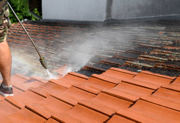 Best House Pressure Washing  in Crane, MO