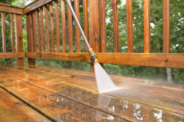 Best Affordable Pressure Washing  in Crane, MO