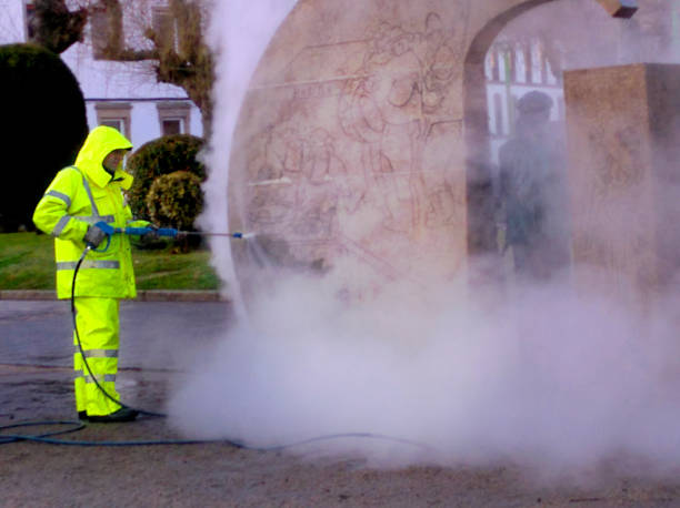 Best Affordable Power Washing  in Crane, MO